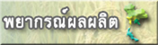 การพยากรณ์ผลผลิต